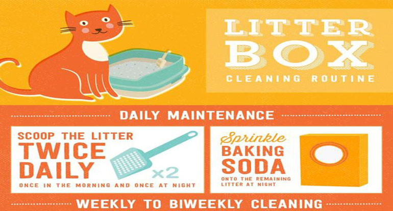 Litter Box Mat: Waterproof & Hygienic Mat