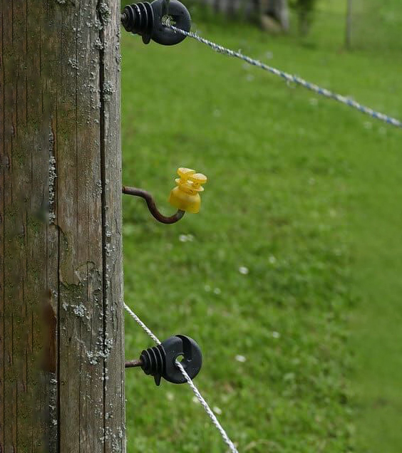 What Are Electric Fences? Benefits, Uses, and Safety Tips