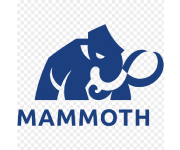 Mammoth Coupons