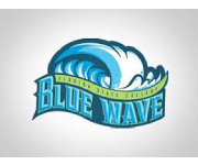 Blue Wave Sports Coupons