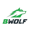 Bwolf Coupons