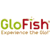 Glofish Coupons